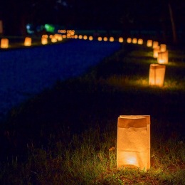 Instagram post from @saratogacollective on October 27, 2023 11:16:57am